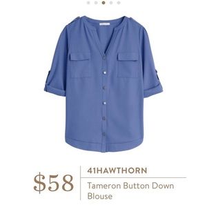 41 Hawthorn button down blouse